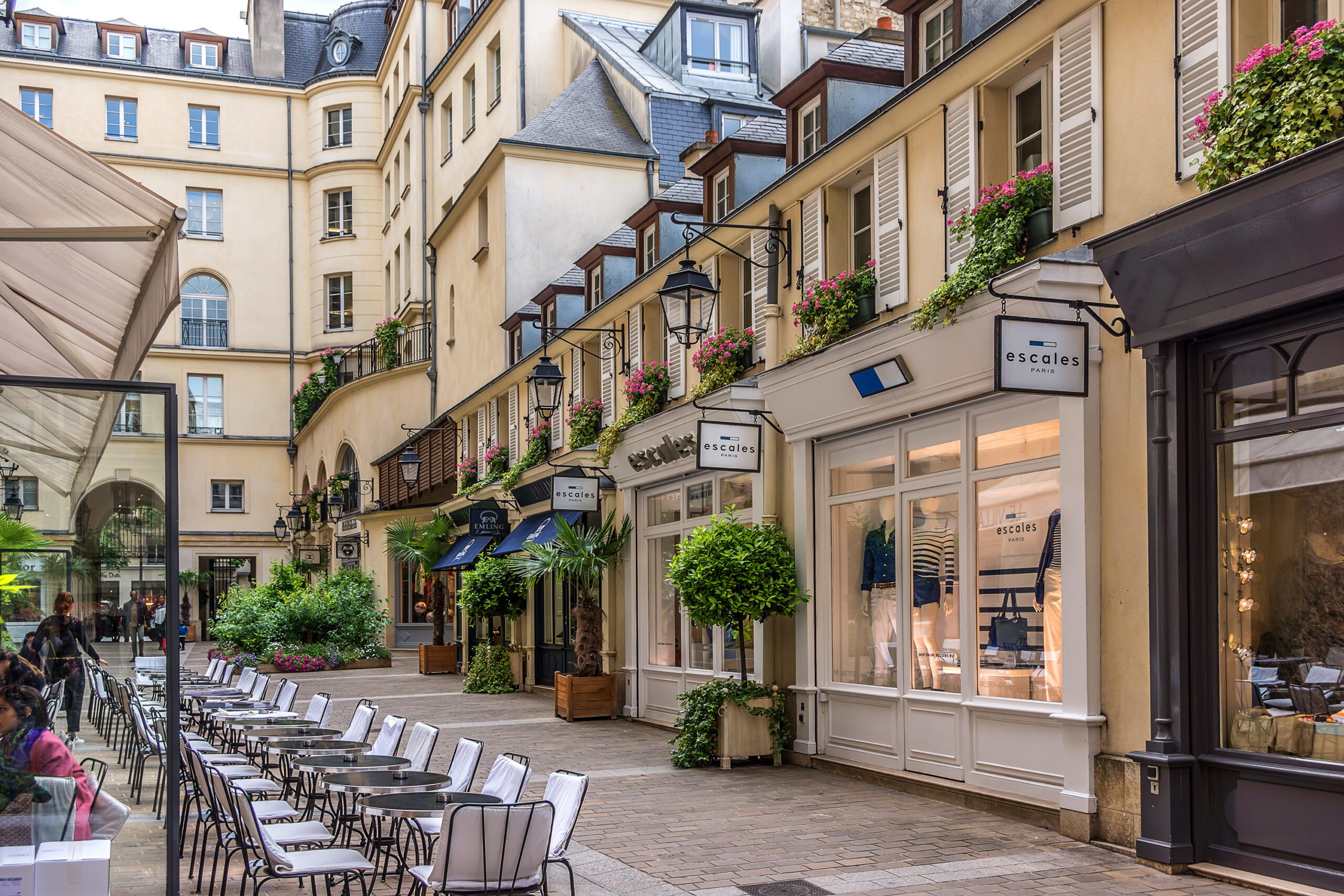 Miniature du cours