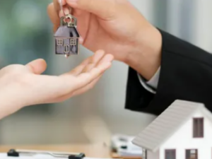 L'Agent immobilier et le mandat (14h IMMO)