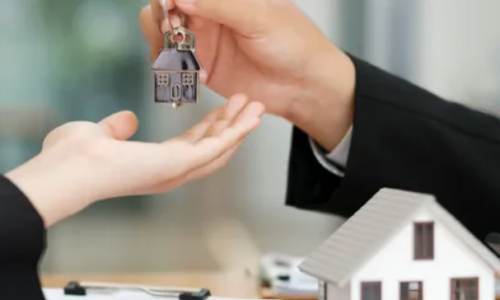 L’agent immobilier et le mandat  (14h IMMO)